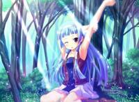 动漫：听说多看看这些后宫番，有益身心健康哦！