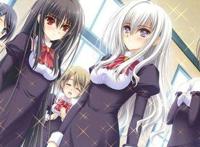 动漫：听说多看看这些后宫番，有益身心健康哦！