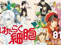 动漫图文向：2018年新番推荐第二波，沙滩美女《遥的接球》动画化