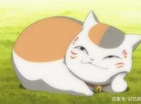 动漫中那些萌死人的猫咪大合集，你最想拥有哪一只？