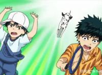 网球王子童年相貌，龙马是爱哭淘气包，迹部帅气，手冢一脸严肃！