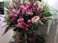 动画《约会大作战3》举办先行上映会参加者吐槽作画问题