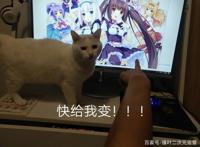 一觉醒来，我家的猫变成了可爱的女孩子，这部猫娘漫画推荐给你