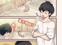 一觉醒来，我家的猫变成了可爱的女孩子，这部猫娘漫画推荐给你