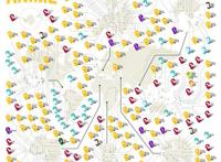 《七大罪》127个国家中搜索量第一，Netflix用户喜欢看什么动画？