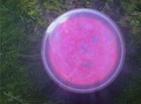 我是大神仙：时江单挑蒙仁，遭遇啃脸，当场被毒晕