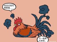 非人哉：大公鸡孵蛋，星君笑死人，结果蛋没了。