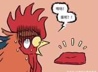 非人哉：大公鸡孵蛋，星君笑死人，结果蛋没了。