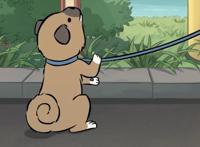 最近播出的这3部国产动漫中各有一只逗比宠物，一个比一个搞笑