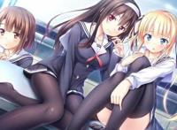 如何评价《路人女主的养成方法》究竟是什么样的魅力让他这么吸引人？