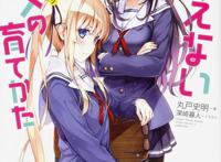 《路人女主的养成方法》系列漫评——综向动漫