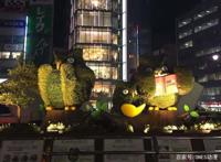 还没开播就已经充满惊喜，这部十月新番是很多人的十月最期待