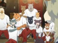 射击、追番、攀岩、分享音乐…“30 姐姐”万茜依然中二