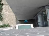 8岁女童模仿《熊出没》情节，不幸从6楼坠亡，制作公司被判担责