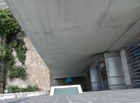 8岁女童模仿《熊出没》坠亡！家长错了？动画片“背锅”了吗？