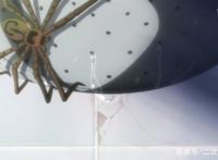 这部肉眼可见的贫穷7月新番，还有救吗？