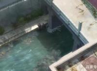 猎魔武士第一话：Gibia病毒肆虐，千水兼六穿越