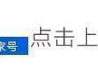 机动奥特曼：赛文加即将登场，机动奥特之母形象备受关注！