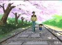 名侦探柯南迷宫的十字路口，樱花飞舞的时节，有种喜欢，永不褪色