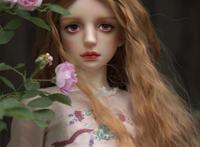 蔷薇少女的引申:bjd娃娃推荐