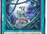 游戏王黑色花园居住着蔷薇少女,黑魔导女孩女神地位又迎来挑战