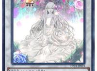 游戏王黑色花园居住着蔷薇少女,黑魔导女孩女神地位又迎来挑战