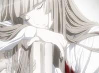 这部动漫被戏称为哈姆雷特的暴风雨，剧情堪称大杂烩