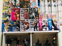 航海王：海迷家的收藏，一屋子都是周边产品