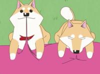 中日泡面番盘点第二期：浓缩就是精华！