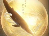 从《延禧攻略》到《四海鲸骑》爱奇艺持续打造精品内容付费