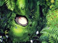 宫崎骏动漫里的夏天！你看到了嘛！