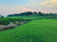 渝北千年老街，曾是重庆“农业大镇”，如今人称“虞美人山坡”