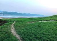 渝北千年老街，曾是重庆“农业大镇”，如今人称“虞美人山坡”