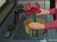 从《虞美人盛开的山坡》，忆起了我的青春