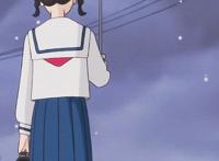 无水印动漫壁纸分享，虞美人盛开的山坡