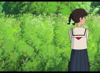 《虞美人盛开的山坡》：这样的爱情真让人羡慕