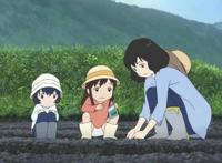 狼的孩子雨和雪：这不仅是歌颂母爱，更是对感情的体现