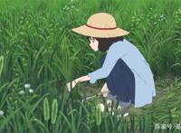 豆瓣8.5高分动画作品，狼的孩子雨和雪，本身就已经超越了动画