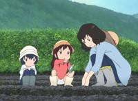 狼的孩子雨和雪：一部关心单亲妈妈和成长的经典动漫！