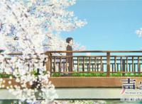 日本逆天动漫《声之形》，你会爱上曾经欺凌过你的人吗？