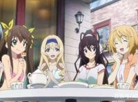 为何现在真后宫动漫没有多少，而伪后宫动漫却越来越多了呢