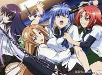 为何现在真后宫动漫没有多少，而伪后宫动漫却越来越多了呢