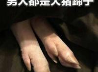 5个“大猪蹄子”动漫男主，论如何伤害女生，他们很有一套！