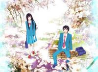 超级好看动漫后宫番！擂台一片天！