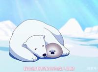 恋爱中的白熊：史上最萌的基腐番，要么成为情人，要么被吃掉