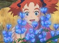 《玛丽与魔女之花》宫崎骏和吉卜力不是卖点，情怀和商业如何并重