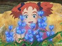 《玛丽与魔女之花》设定糟糕极点，然而情怀不灭，值得拥有！