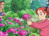 《玛丽与魔女之花》——致敬宫崎骏之新作