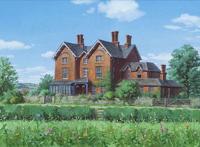 《玛丽与魔女之花》：质量稳定，但并不惊艳