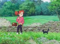 《玛丽与魔女之花》：宫崎骏画风传承之作，魔女和黑猫更配！